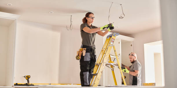 Best Industrial Electrical Services  in Cary, IL