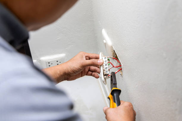 Best Outdoor Lighting Installation  in Cary, IL