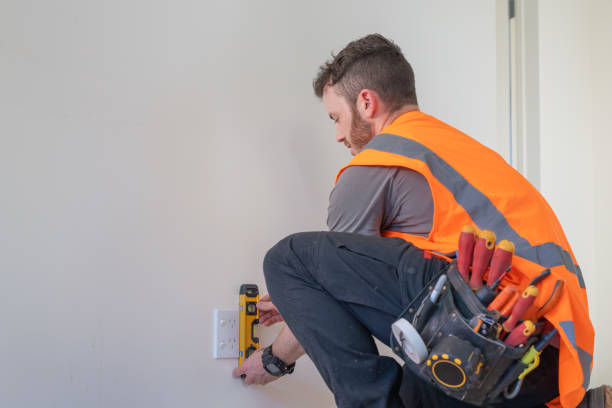 Best 24-Hour Electrician  in Cary, IL